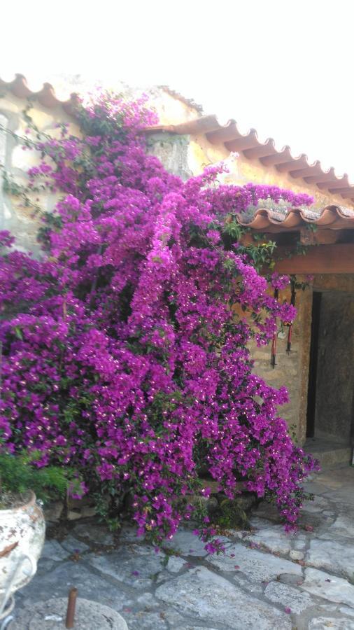 Casa De Chanca Penela Exterior photo